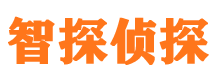 大兴安岭市婚外情调查